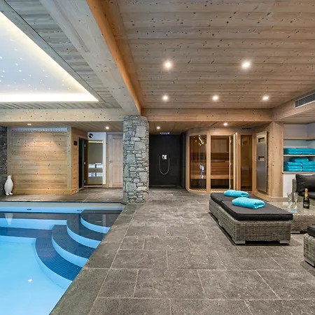 De Luxe Avec Piscine Et A - Fr-1-568-6 Dağ evi